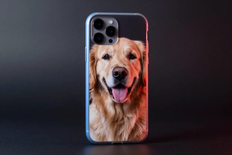 Telefontok kutyaportréval